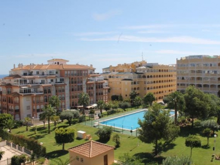 La Mata property: Alicante Apartment 247864