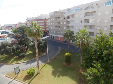 Torrevieja property: Alicante Apartment 247884