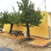 Pinoso property: Alicante, Spain Villa 248003