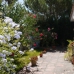 Arcos De La Frontera property: Beautiful Villa for sale in Cadiz 254048