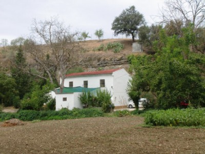 Ronda property: Finca in Malaga for sale 254054