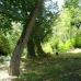 Ronda property:  Finca in Malaga 254056