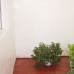 Olvera property: Olvera, Spain Townhome 254057