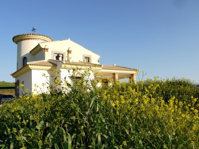 Ronda property: Villa with 4 bedroom in Ronda 254100