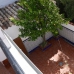 Algodonales property:  Townhome in Cadiz 254117