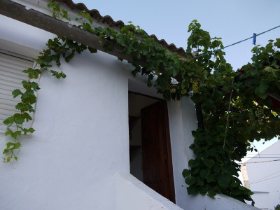 Ronda property: House in Malaga for sale 254150