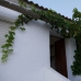 Ronda property: House in Ronda 254150