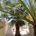 Hondon de las Nieves property: Alicante Villa, Spain 254936