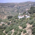 Algarinejo property: Farmhouse for sale in Algarinejo 256247