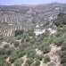 Algarinejo property: Granada, Spain Farmhouse 256247