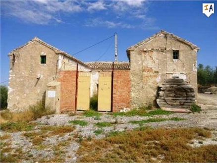 Villanueva De Algaidas property: Farmhouse for sale in Villanueva De Algaidas 256285