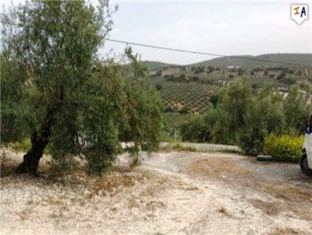 Villanueva De Algaidas property: Farmhouse in Malaga for sale 256285