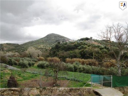 Martos property: Jaen property | 5 bedroom Farmhouse 256292