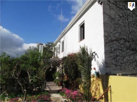 Montefrio property: Farmhouse for sale in Montefrio 256294