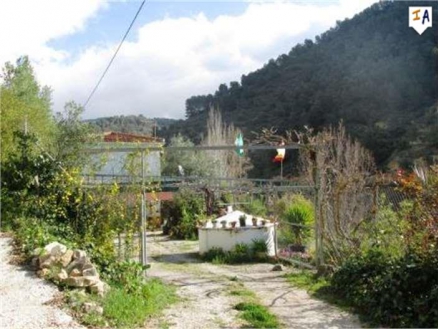 Montefrio property: Farmhouse for sale in Montefrio, Granada 256294