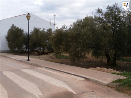 Antequera property: Land for sale in Antequera 256319