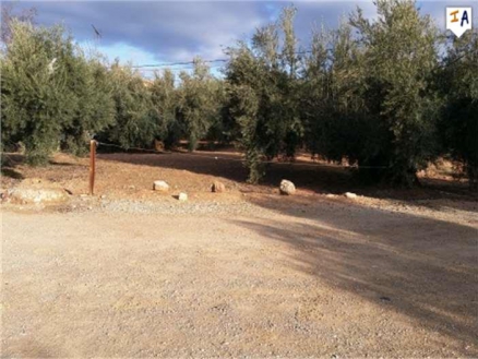 Villanueva De Algaidas property: Land for sale in Villanueva De Algaidas 256320