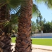 Hondon de las Nieves property:  Villa in Alicante 258150