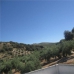 Montefrio property: Montefrio Farmhouse, Spain 260225