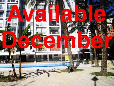 Benidorm property: Apartment to rent in Benidorm 262981