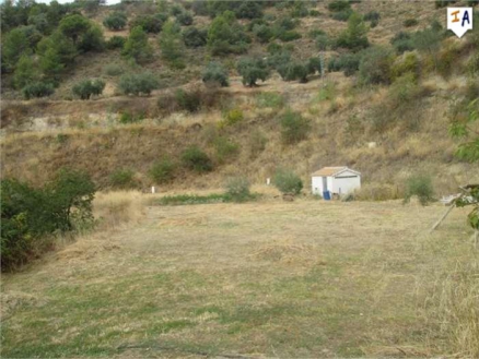 Montefrio property: Farmhouse with 9+ bedroom in Montefrio 266407