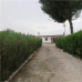  Villa in province 266454