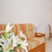 1 bedroom Villa in Alicante 266721