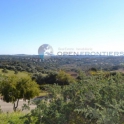 Sotogrande property: Land for sale in Sotogrande 275335