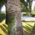 Altea property: 4 bedroom Villa in Altea, Spain 279542