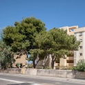 Denia property: Apartment for sale in Denia 280603