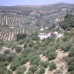 Algarinejo property: Granada, Spain Farmhouse 281098