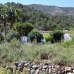 Parcent property: Parcent, Spain Villa 281458