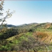 Monda property: Monda, Spain Finca 281900