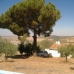 Madronera property: Madronera, Spain Finca 282356