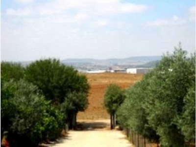 Zafra property: Finca for sale in Zafra, Spain 282370