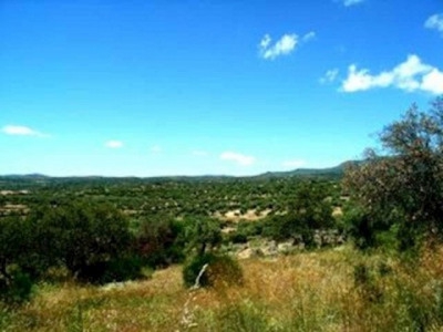 Almoharin property: Almoharin, Spain | Finca for sale 282386