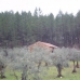 Valverde Del Fresno property:  Finca in Caceres 282397