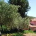 Alcuescar property: Caceres, Spain Finca 282399