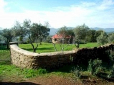 Acena La Borrega property: Finca for sale in Acena La Borrega, Caceres 282411