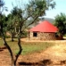 Acena La Borrega property: Caceres, Spain Finca 282411