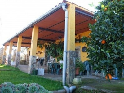 Finca for sale in town 282413