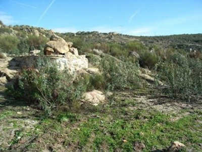 Acena La Borrega property: Acena La Borrega, Spain | Finca for sale 282414