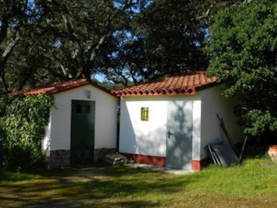 Caceres Finca 282418