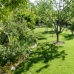 Beautiful Finca for sale in Caceres 282418