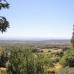 Jarandilla property: Jarandilla, Spain Finca 282428