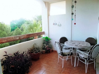 Villamartin property: Apartment for sale in Villamartin, Spain 282481