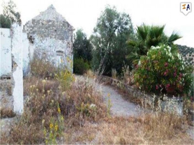 Villanueva De Algaidas property: Villanueva De Algaidas Farmhouse 282999