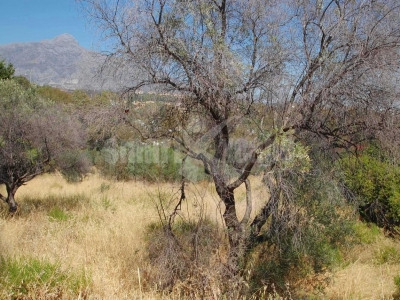 Marbella property: Land for sale in Marbella 283159