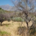 Marbella property: Malaga, Spain Land 283159