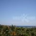 Marbella property: Marbella, Spain Villa 283169